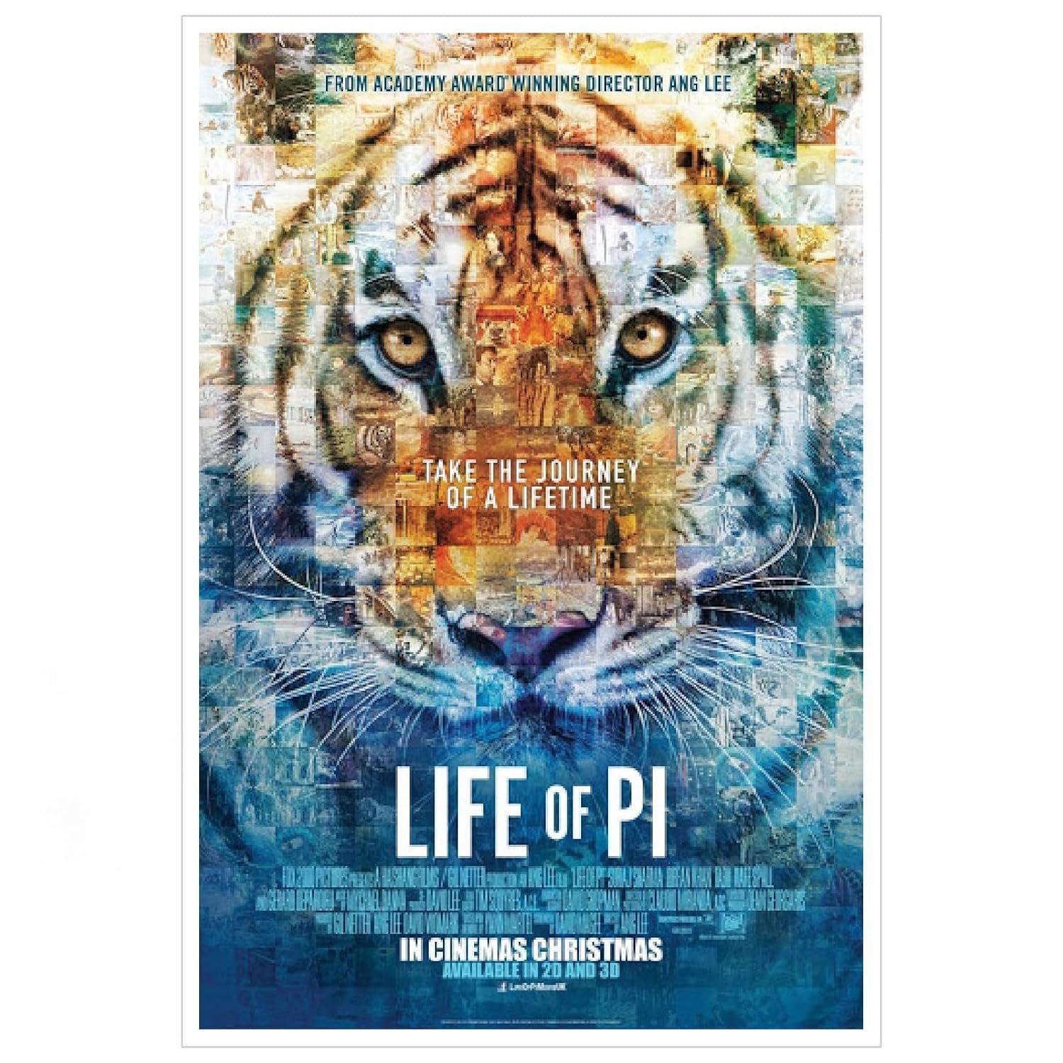 AISONSITE Life Of Pi Movie Poster Wall Art Animal Adventure Movie Poster Canvas Prints Classic Movie Poster Poster For Home Office Living Room Decorations Unframed 18"x12"