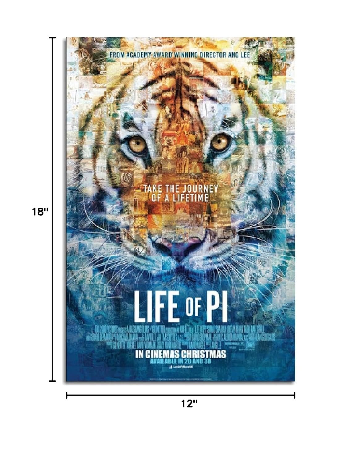 AISONSITE Life Of Pi Movie Poster Wall Art Animal Adventure Movie Poster Canvas Prints Classic Movie Poster Poster For Home Office Living Room Decorations Unframed 18"x12"