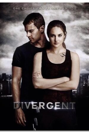 Divergent Movie Poster Canvas Prints Sci-fi Adventures Classic Movies Poster Wall Art For Home Office Cinema Decorations Unframed 10"x8"