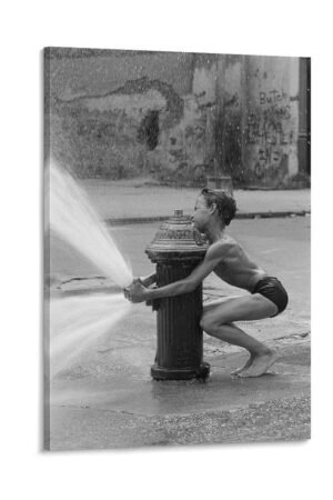 pihexiu Room Posters Funny Boys Custom Posters Cool Artwork Wall Art Home Decor Gift Ideas Poster Decorative Painting Canvas Wall Art Living Room Posters Bedroom Painting...