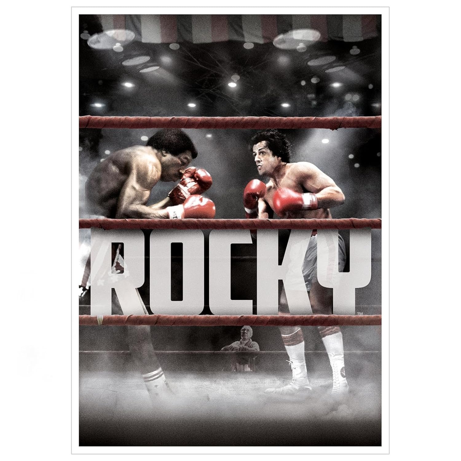 Rocky Movie Poster Canvas Prints Boxing Sport Love Story Poster Wall Art For Home Office Cinema Decorations Unframed 18"x12"