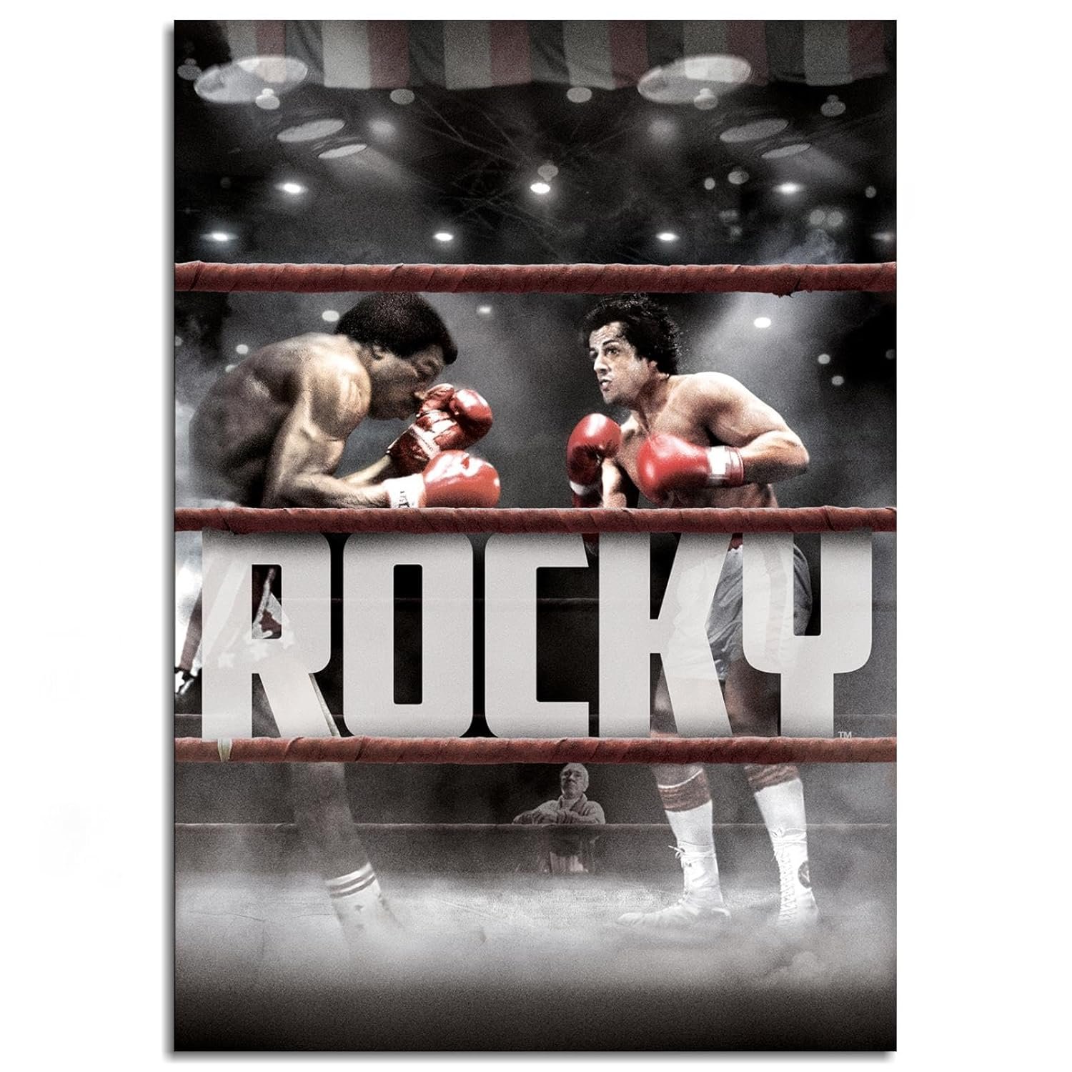Rocky Movie Poster Canvas Prints Boxing Sport Love Story Poster Wall Art For Home Office Cinema Decorations Unframed 18"x12"