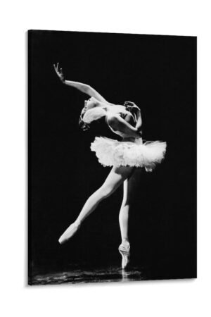 Room Aesthetic Poster Ballet Dance Swan Lake Black And White Art Poster Cool Artwork Wall Art Home Decor Gift Idea Poster Decorative Painting Canvas Wall Art Living Room Posters...