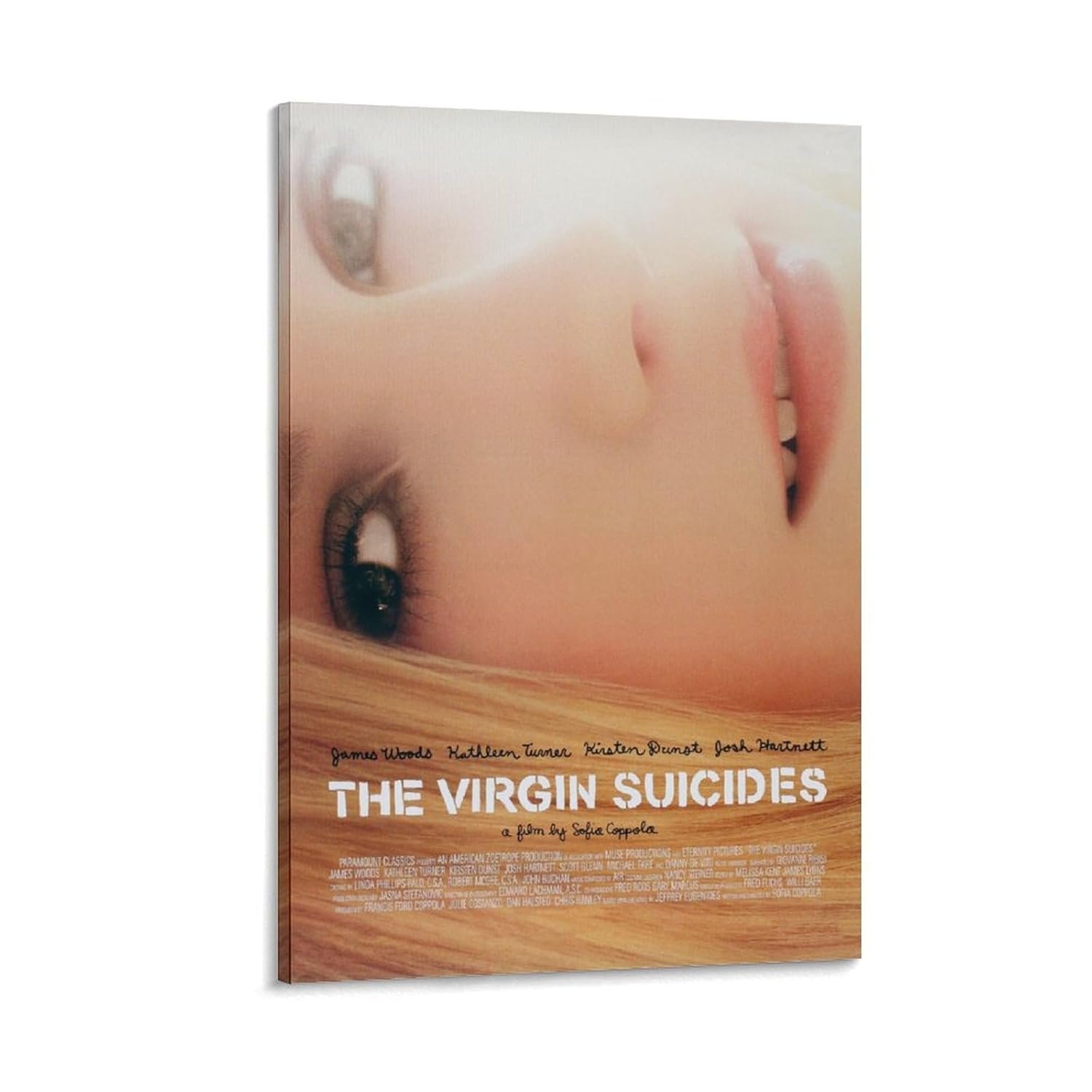 Room Posters Classic Movie The Virgin Suicides Movie Posters Cool Artwork Wall Art Home Decor Gift Ideas Canvas Art Poster And Wall Art Picture Print Modern Family Bedroom Decor...
