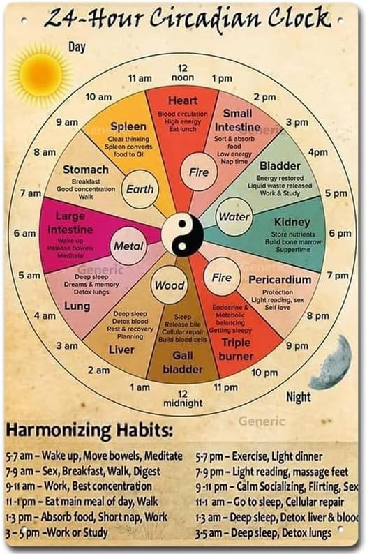 24 Hour Circadian Clock Organ Clock Unframed Knowledge Wall Art Chinese Medicine Healthy Art Cafe School Decoration Tin Sign Home Decor Home Art Metal Signs Wall Art Wall Decor...