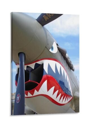 Aesthetic Posters Cool Airplanes Custom Posters Cool Artwork Wall Art Home Decor Gift Ideas Canvas Art Poster And Wall Art Picture Print Modern Family Bedroom Decor Posters...