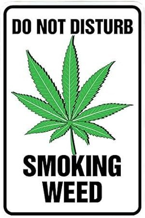 Custom Kraze Do Not Disturb Smoking Weed - Blaze it Funny Metal Decor Sign