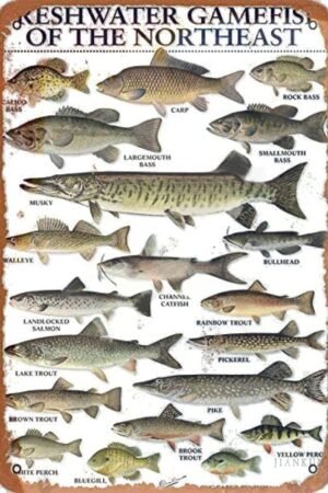 Freshwater Gamefish Tin Sign 12 x 8 Inches Retro Metal Aluminum Wall Decor