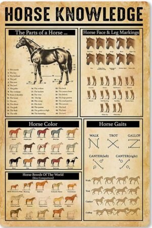 Horse Knowledge Metal Signage Horse Face & Leg Markings Infographic Tin Poster for Bar Cafe Club Farm Wall Plaque 8x12 Inches