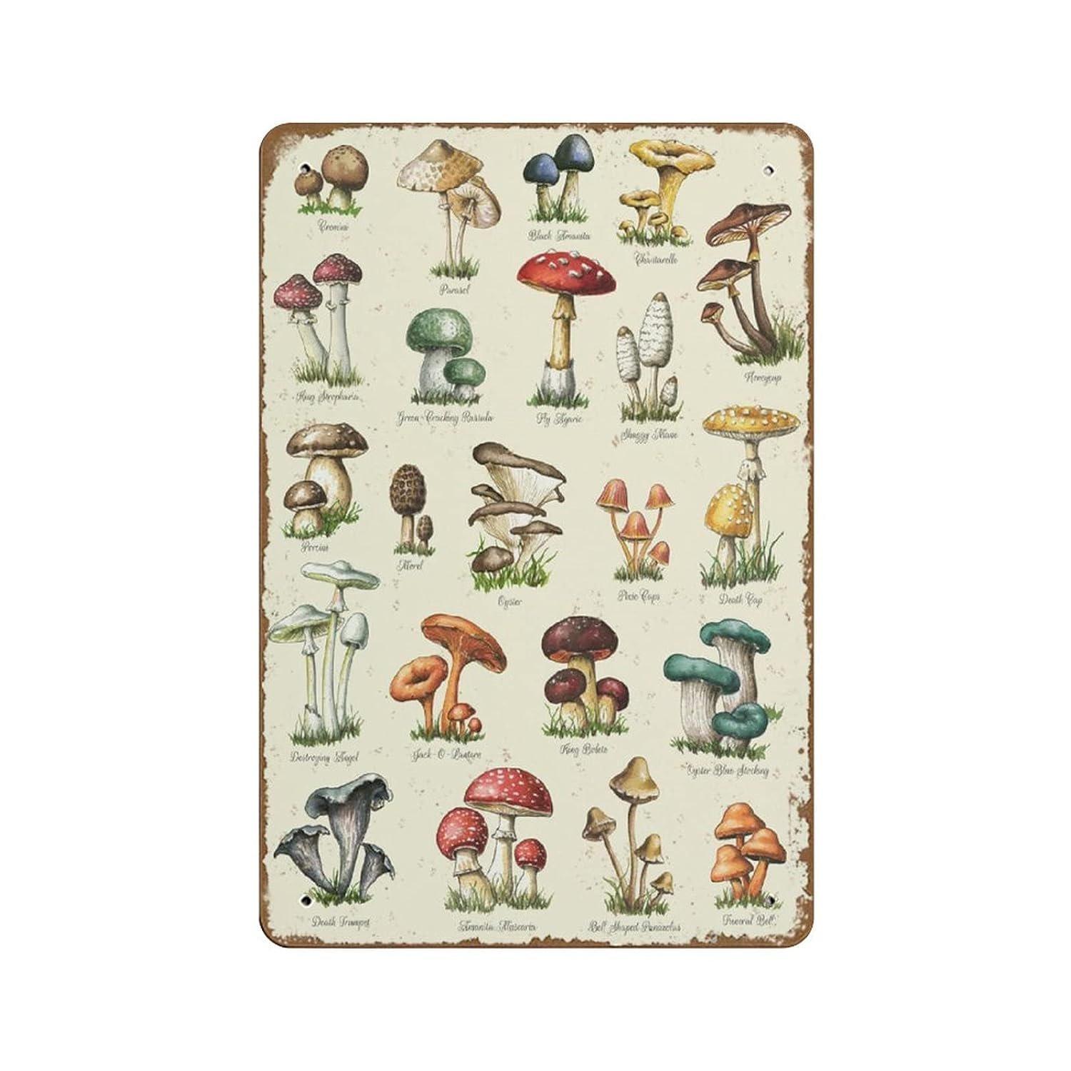 Metal Sign - Vintage Look Sicilian Parking ONLY 8 x 12 Inches