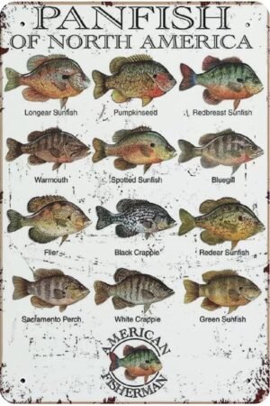 Metal Tin Sign Panfish of North America Vintage Tin Poster Metal Sign Wall Decoration Country Kitchen Home Garage Decor 12x8 inch