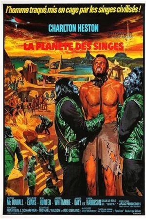 Planet of The Apes - 1968 - French - Movie Poster-24 x 36 Inches