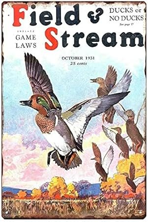 RJFHDUE Rustic Wall Decor Fields and Stream Vintage Style Iron Painting for Indoor & Outdoor Home Bar Coffee Kitchen Wall Decor Metal Sign Home Decor Rustic Tin Signs Wall Art...