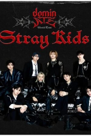 Stray Kids Domin8 World Tour Poster 2025 Kpop Concert Art Print