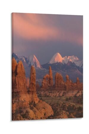 tendayougo Wall Posters Snow Mountain White Cloud Forest Landscape Poster Poster Decorative Painting Canvas Wall Art Living Room Posters Bedroom Painting 08x12inch(20x30cm)