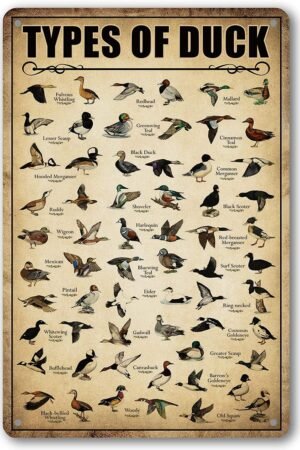 Type Of Duck Tin Sign Duck Hunting Decor Mallard Ducks Knowledge Metal Signs Vintage Duck Hunting Decorations For Home Kitchen Bathroom Duck Wall Art Decor Poster 8 x 12 Inch