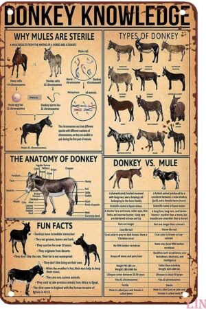 Vintage Tins Signs Donkey Knowledge Why Mules are Sterile Types of Donkey The Anatomy of Donkey Tin Signs Vintage Funny Signs Home Decorations Wall Decor Metal Poster for...
