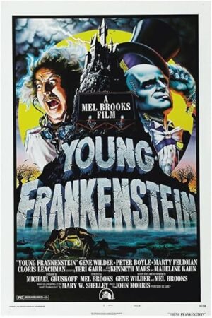 Young Frankenstein - Mel Brooks - 1974 - Vintage Movie Poster-24 x 36 Inches